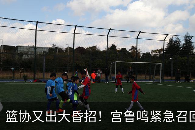 篮协又出大昏招！宫鲁鸣紧急召回两大国手：杨舒予这次被坑惨了！